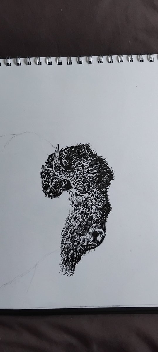 Alexrites's tweet image. Horny buffalo then its time for the Ozzman cometh...