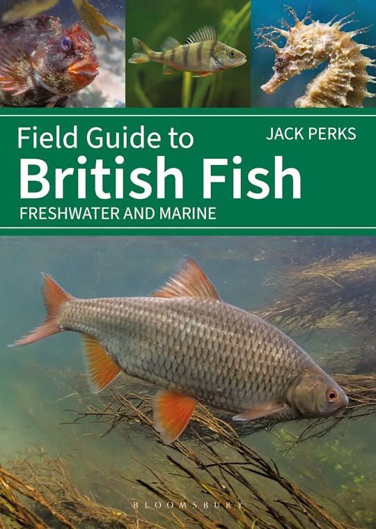 JackPerksPhoto's tweet image. I’ve recently got a few more copies of my latest book in if you’d like a signed copy the link is below!
…k-perks-wildlife-media.sumupstore.com/product/signed…