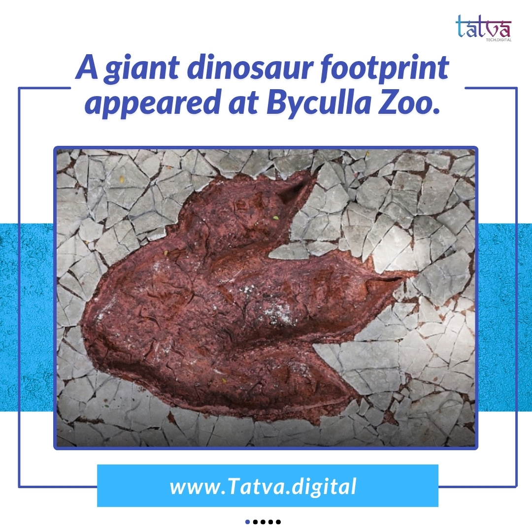 tatvatechdigi's tweet image. 🦖 How Category Gems made dinos ROAR again—with branding magic by Tatva Tech Digital!
👉 See the creative journey unfold. #BrandingStrategy #TatvaTechDigital #DinoSeries