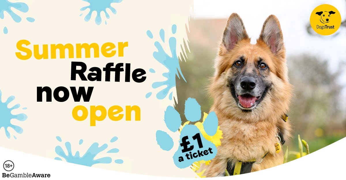 DogsTrust's tweet image. Help dogs like Luna by entering our Summer Raffle!! Tickets cost just ยฃ1 and you could win ยฃ10,000! ๐
โก๏ธ bit.ly/4o52dJD
Every entry helps a dog in need ๐ถ
18+, GB only - T&Cs apply.