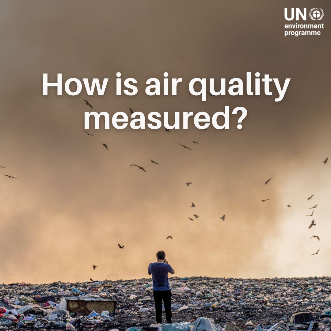 99% of the global population breathes unclean air, leading to life-threatening health concerns for millions. To address this, stronger air quality regulations are critical.

Here is how to measure efforts to #BeatAirPollution: bit.ly/3NhCKvJ