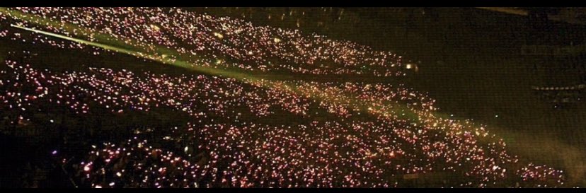 lalisaslore's tweet image. Remember when Lilies…