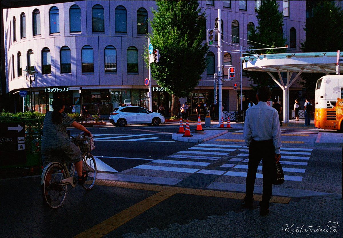 Kentatamu's tweet image. 📷Voigtländer Bessa T + Leica summaron 35mm f2.8
🎞️Kodak UltraMax 400