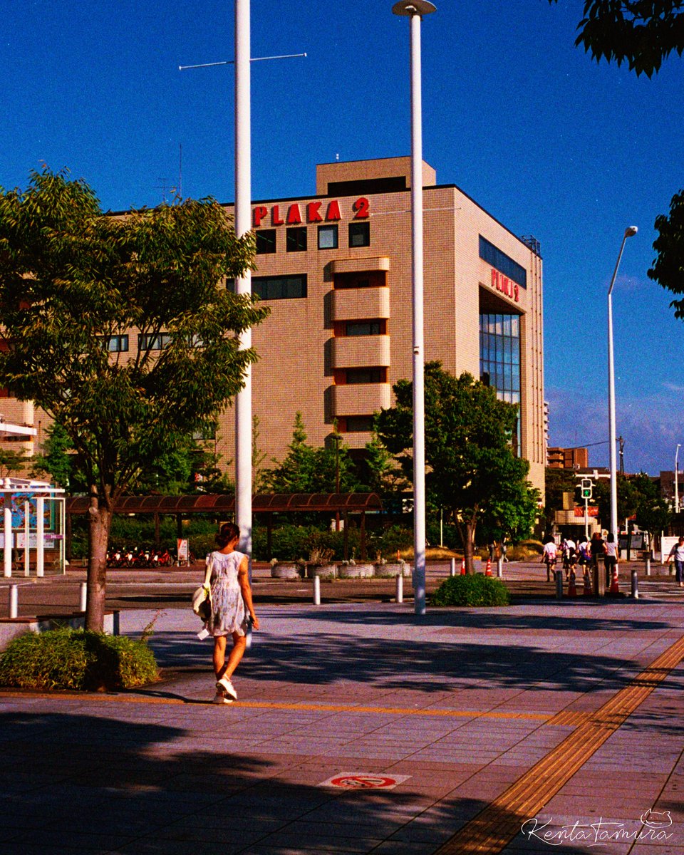 Kentatamu's tweet image. 📷Voigtländer Bessa T + Leica summaron 35mm f2.8
🎞️Kodak UltraMax 400