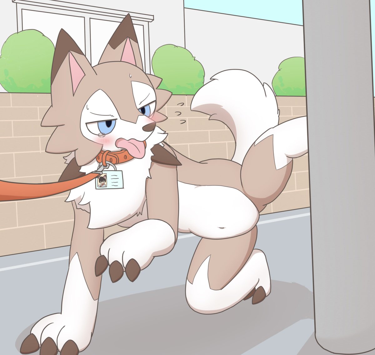 元人間わんこにマーキングさせたい