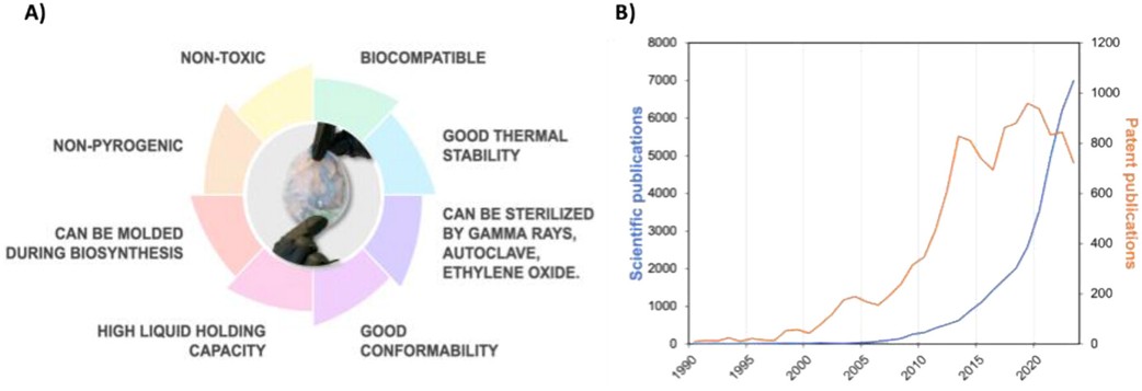 NN Group - ICMAB tweet media