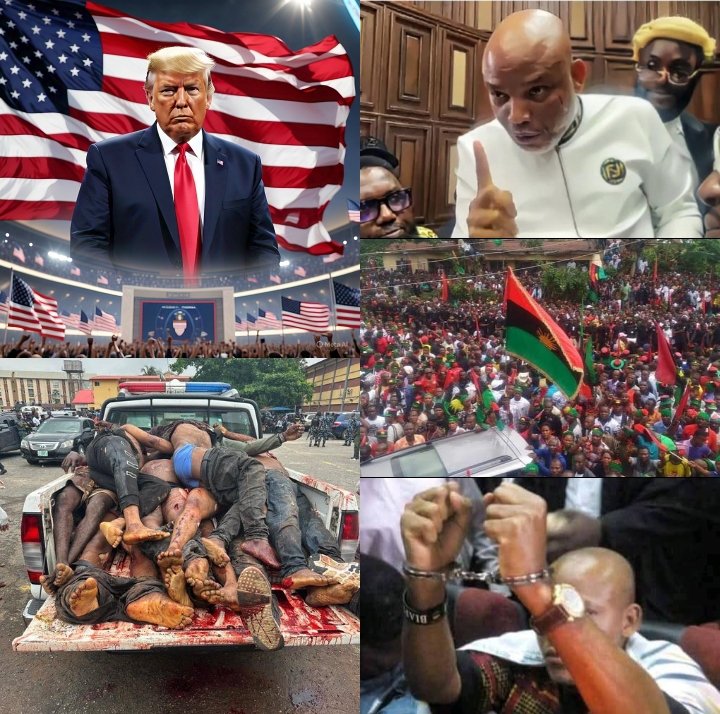 igbomarryigbo's tweet photo. IS TRUMP'S ADMINISTRATION BIASED?
When a state abducts a man without due process, accuses him falsely, and detains him even after acquittal, it does not uphold justice, it buries it. Such actions are not just legal failures; they are moral crimes against the very idea of liberty. https://t.co/NoTobbhWSW