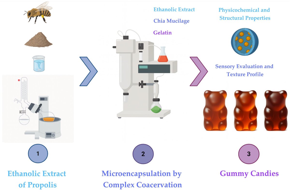 antioxidants_OA's tweet image. 📚 Read our #published Article "#Microencapsulation of #Propolis by Complex Coacervation with #Chia Mucilage and Gelatin: #Antioxidant Stability and Functional Potential" by Carlos A. Ligarda-Samanez, et al.
🔺 Access the full text at: mdpi.com/2076-3921/14/7…