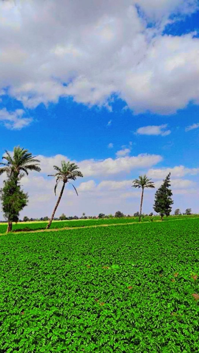 ﴿إِنَّ اللَّهَ وَمَلَائِكَتَهُ يُصَلُّونَ عَلَى النَّبِيِّ يَا أَيُّهَا الَّذِينَ آَمَنُوا صَلُّوا عَلَيْهِ وَسَلِّمُوا تَسْلِيمًا﴾

جمعة مباركة