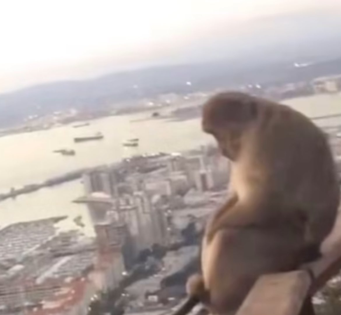 paianVII's tweet image. &quot;fuck my banana incel life man&quot;

&quot;Lonely one, you are going the way to yourself! And your way leads past yourself, and past your seven devils!&quot;