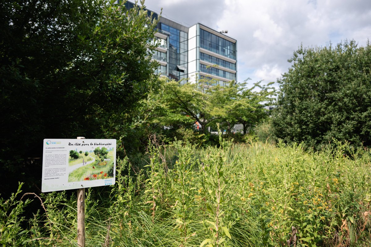 Situé au cœur de l'écoquartier du Trapèze à <a href="/Ville_BoulogneB/">Ville de Boulogne-Billancourt</a>, le parc de Billancourt est labellisé EcoJardin en raison de sa gestion écologique et favorable à la biodiversité par les jardiniers de Grand Paris Seine Ouest.