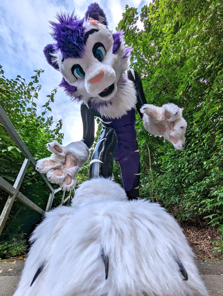 I will catch you! 
#FursuitFriday