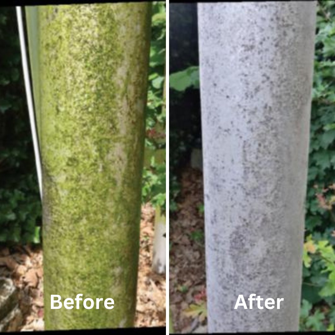 Enclean is a powerful, sustainable surface cleaner and degreener, packed with 500 g/L of nonanoic acid derived from plants.
⁠
✅ Fast-acting &amp; effective⁠
✅ Safe for users &amp; pets⁠
✅ More cost-effective than QAC-based biocides⁠
⁠
#SurfaceCleaner