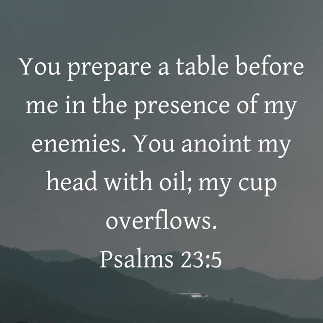 JWLee3427's tweet image. “You prepare a table before me in the presence of my enemies. You anoint my head with oil; my cup overflows.”
Psalms 23:5 NIV