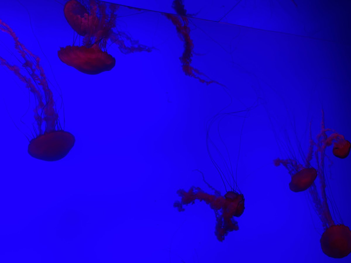 Ride the Curl

Mind
Wants

Grasps
Uneasy

Unstable
Feel the current

Under your
Feet

Breath out the
Maya

Illusionary
Needs

As the weight of the
Wave

Pushes
Go with the

Flow do not roll with the
Hungry

Ghost
No Mind