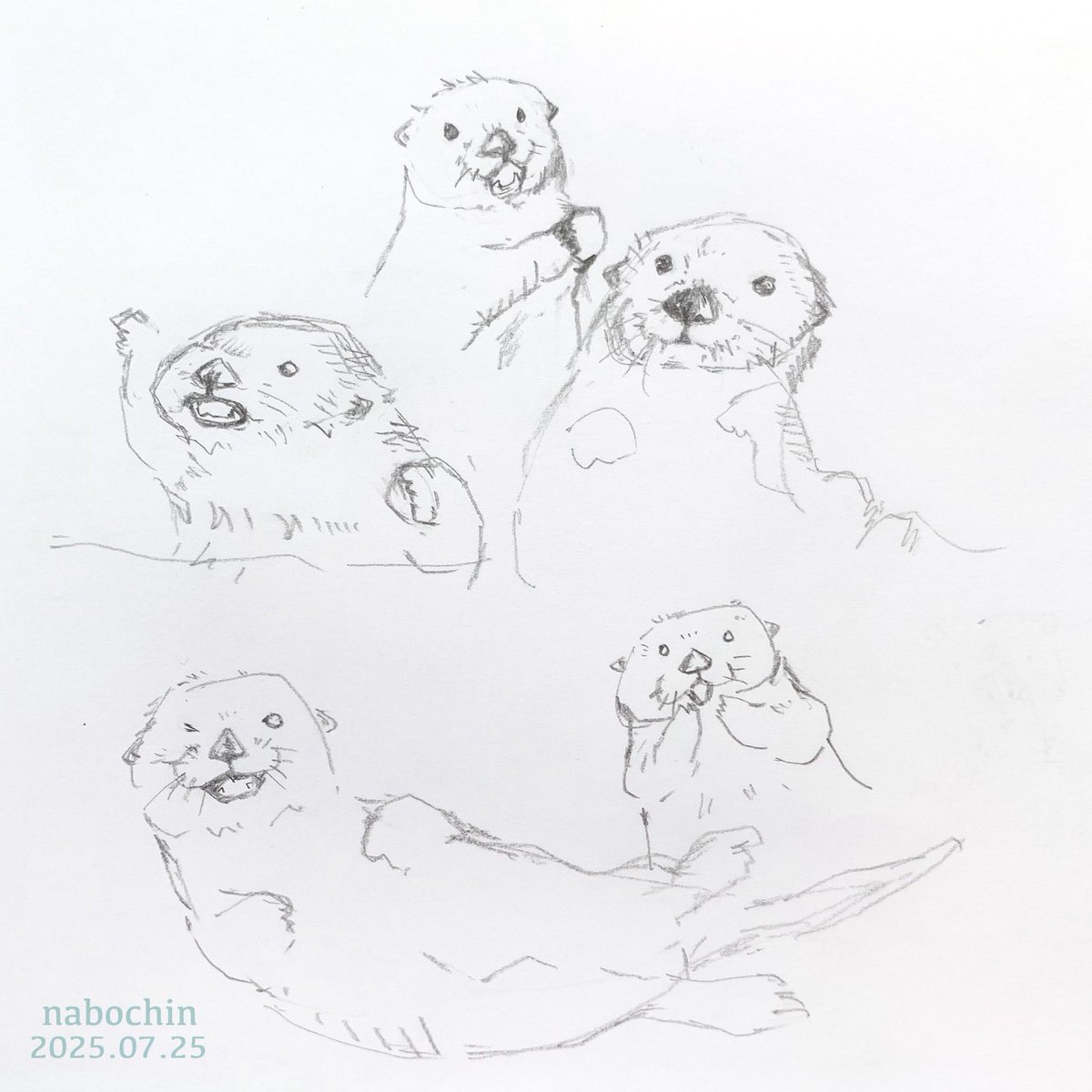 nabochin_2's tweet image. #趣味 #絵 #鉛筆画 # 色鉛筆画 #イラスト #動物イラスト #練習絵

練習 … φ(･_･ 💦