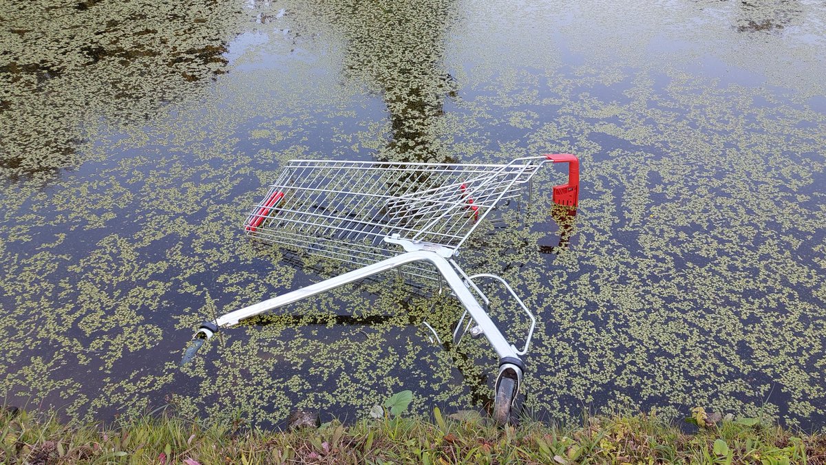 Stilleven met #zwerfkar...