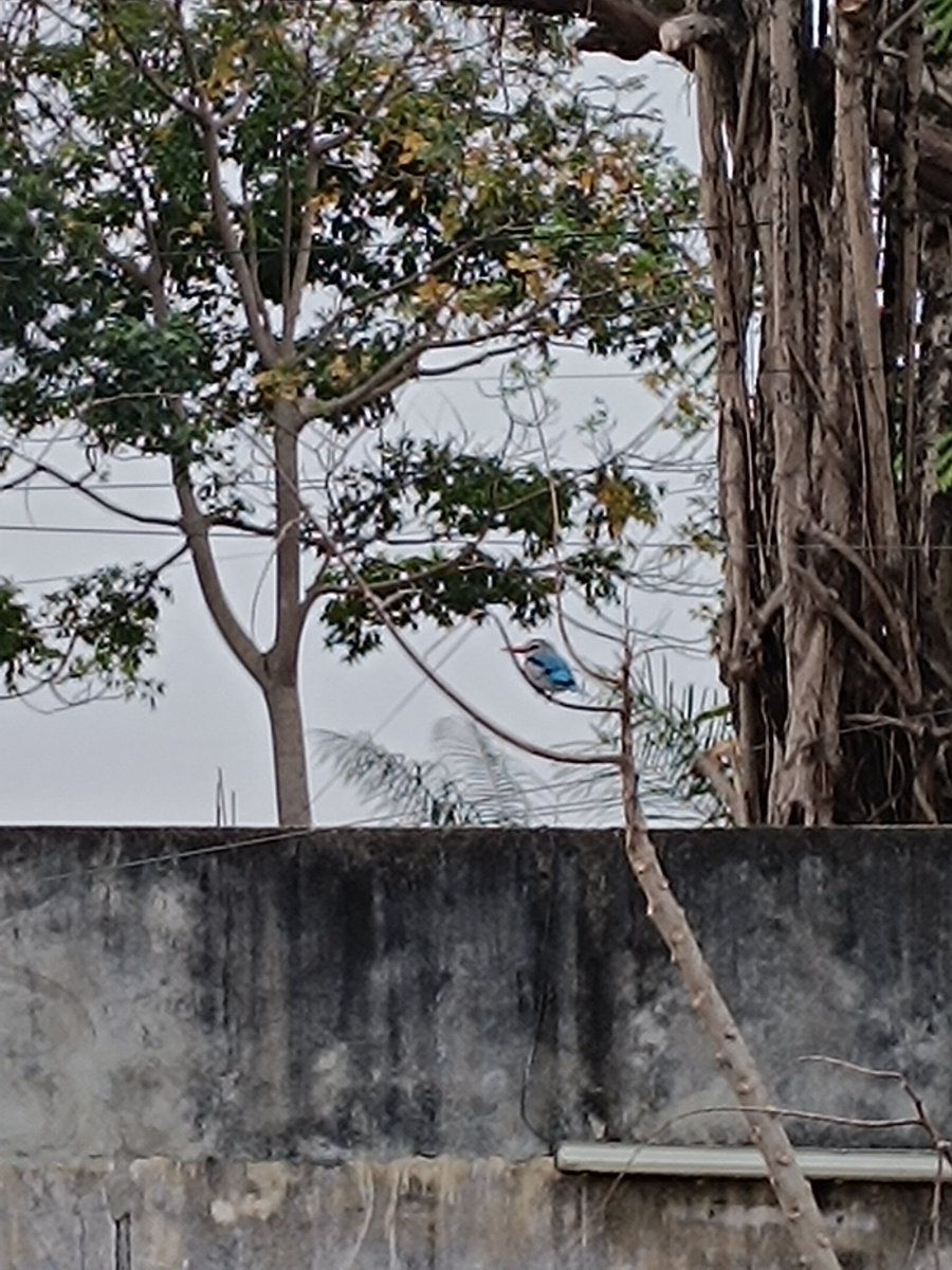 "Le droit international n'est plus un système fermé d'États pour des États. La personne humaine en est la fin ultime" (Cançado Trindade, Juge à la CIJ).