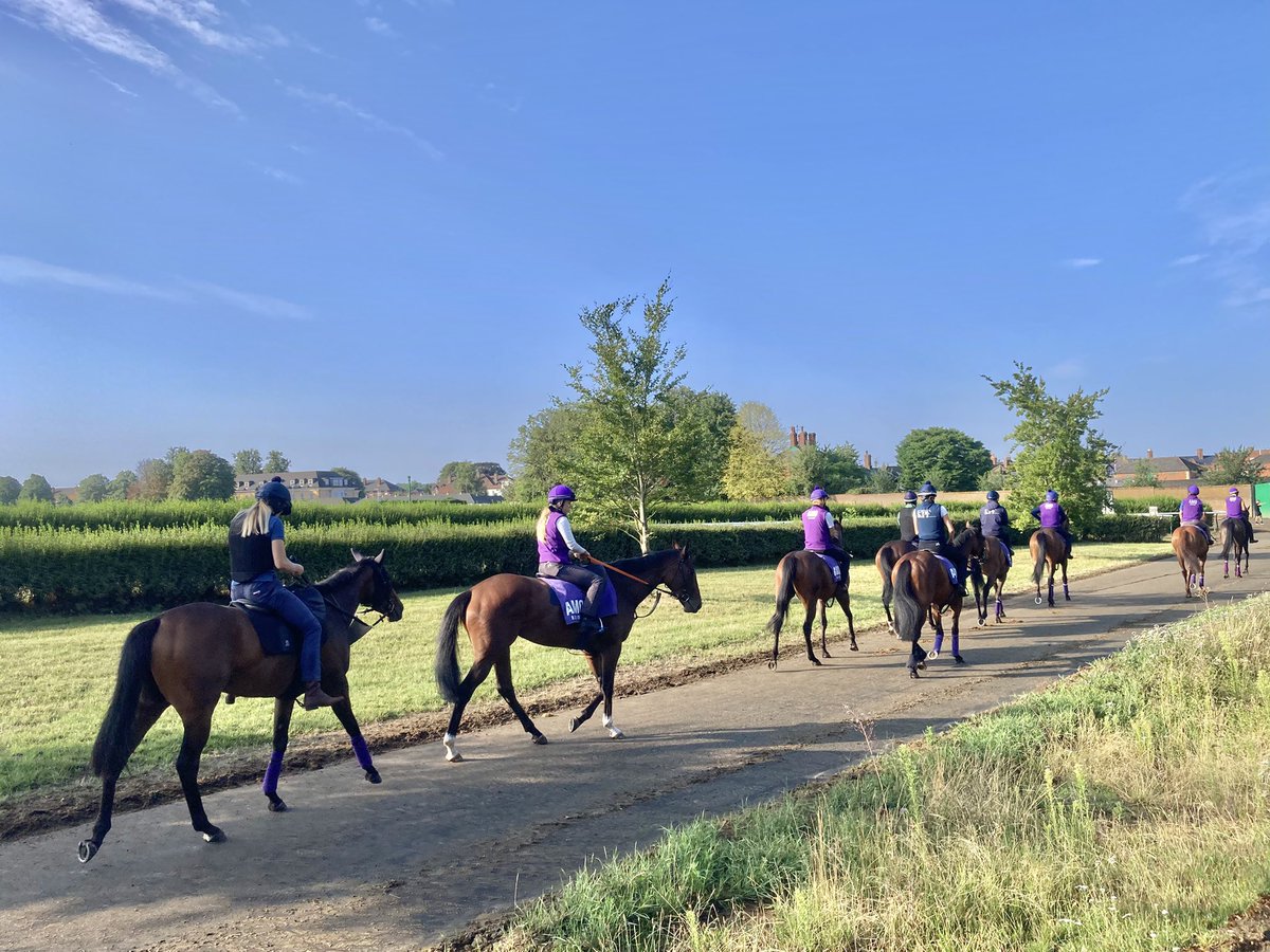 JohnWathenBerry's tweet image. We ended up having quite a lot of rain yesterday in Newmarket but today is sunny and warming up nicely. Currently 21 degrees, forecast high 25. Very pleasant.