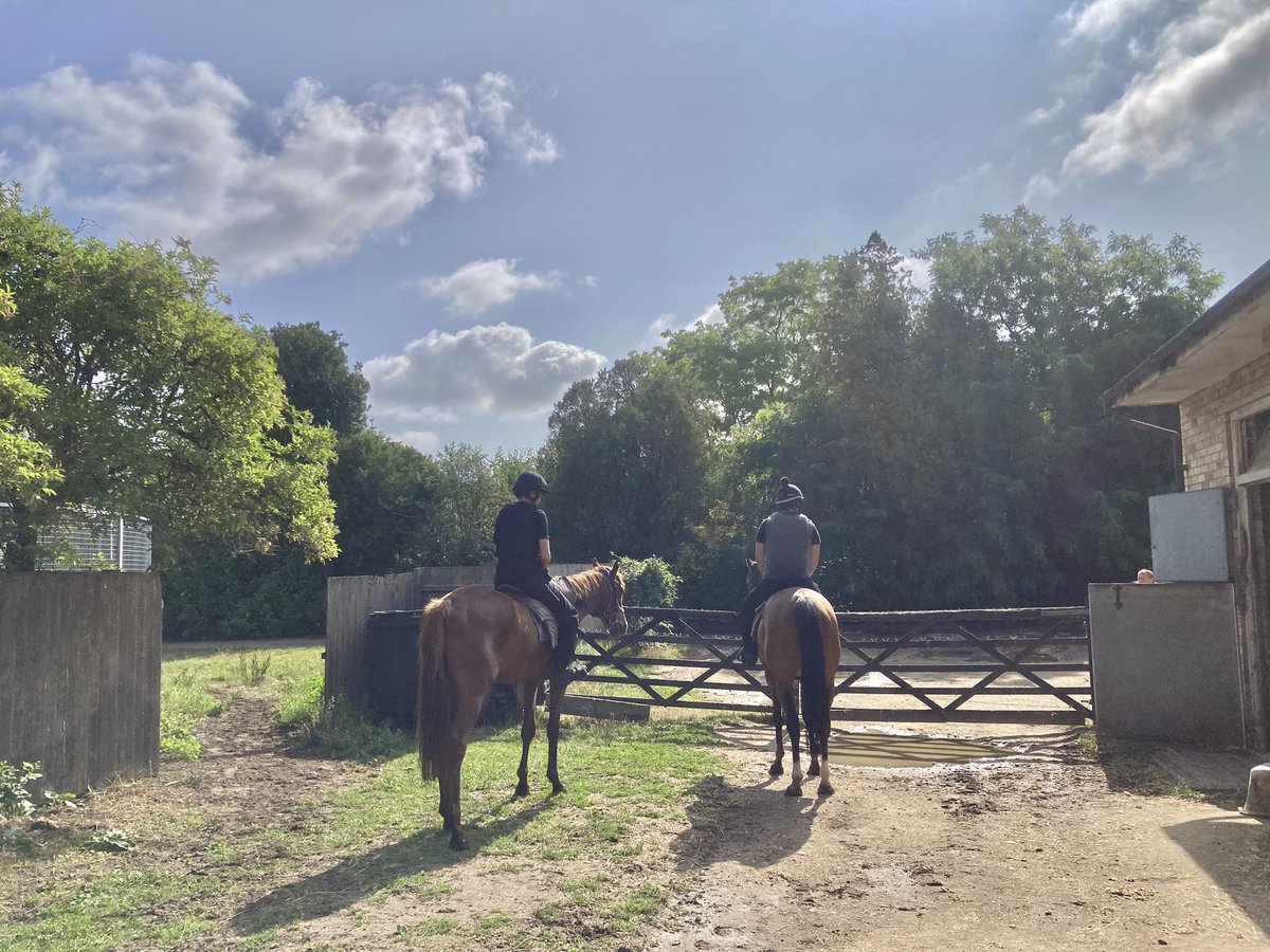 JohnWathenBerry's tweet image. We ended up having quite a lot of rain yesterday in Newmarket but today is sunny and warming up nicely. Currently 21 degrees, forecast high 25. Very pleasant.