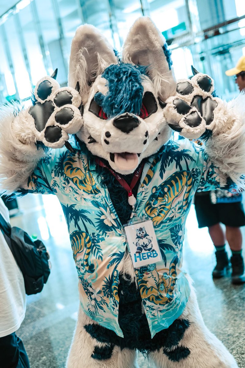 ↖(^ω^)↗
📷：<a href="/racoonwolf/">Rac'n 🐾 INFURNITY</a> 
#FursuitFriday