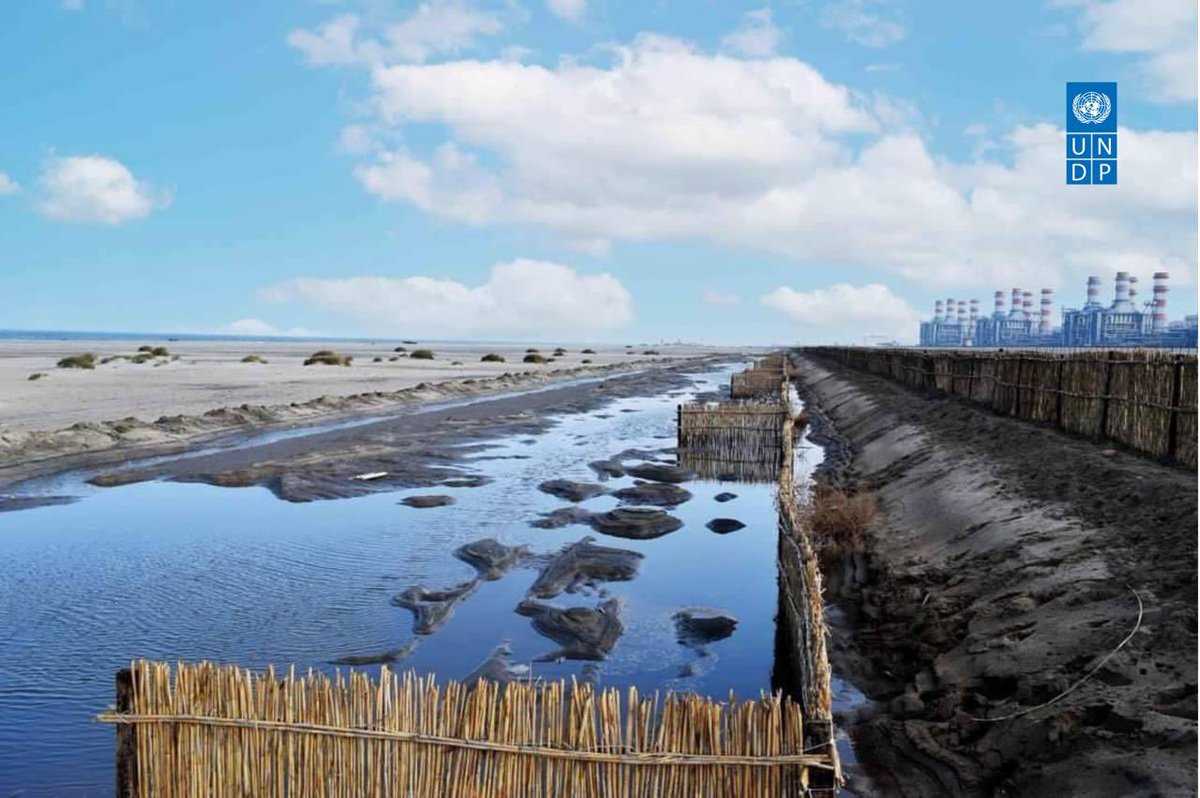 UNDPEgypt's tweet image. Egypt’s coastlines are at risks from sea-level rise & extreme weather. W @UNDP & @theGCF support, @MwriEgypt:
🌊Developed an Integrated Coastal Zone Management Plan
📡 Ocean data for early warning systems
🏝️Protects biodiversity & coastal communities: go.undp.org/wJN