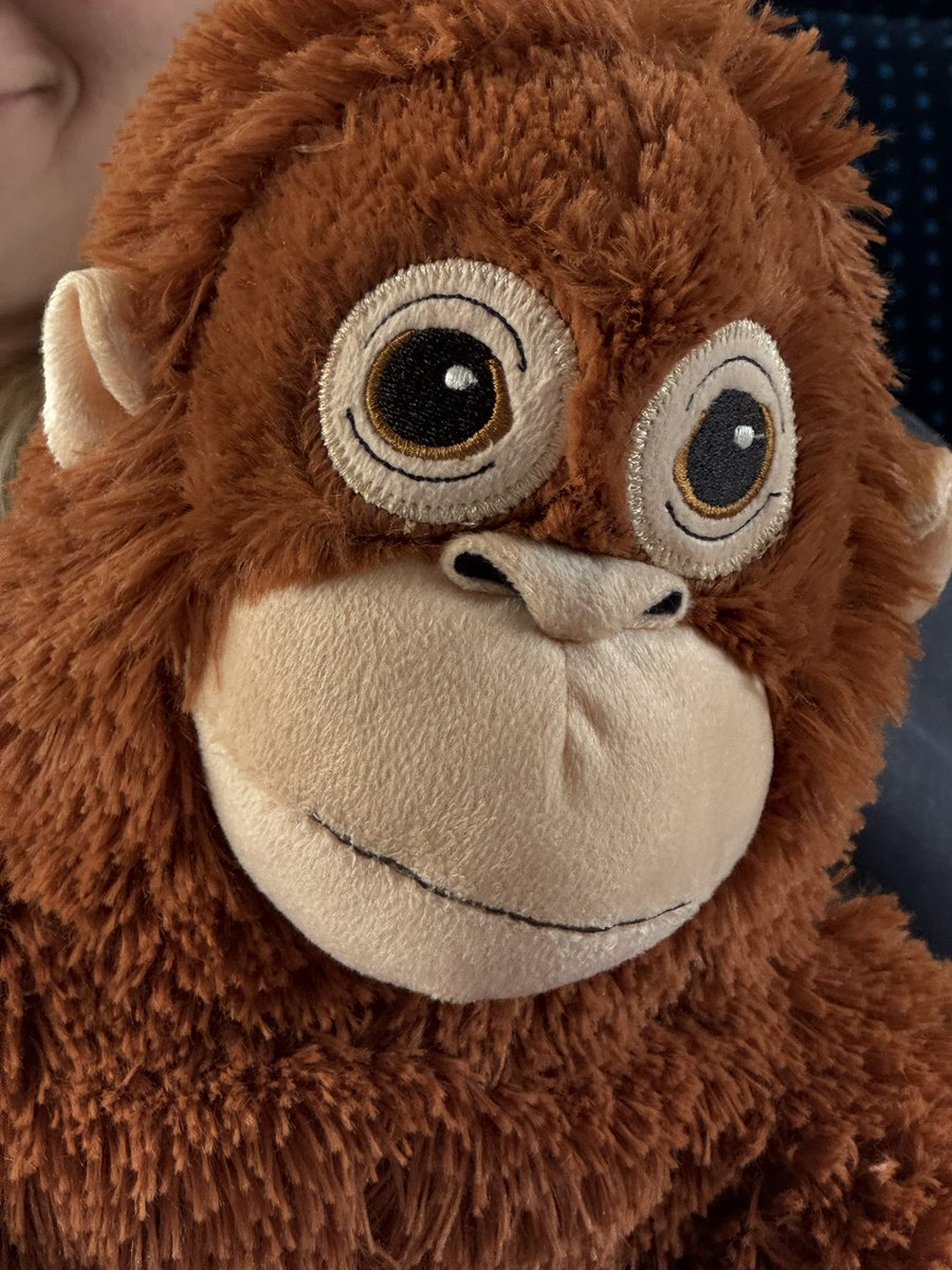 jedziemy na louiska <a href="/naczosyzserowym/">Wiktorka ౨ৎ</a>