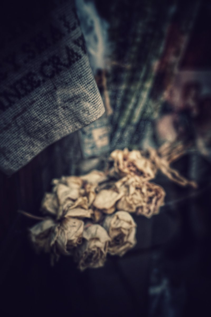 Aaronsidewhite's tweet image. 'Memoria'
Last nights wander
#Gallery365in2025 #Gallery365in2025JulyBrandt #Gallery365in2025DailyPrompt
@Gallery365photo