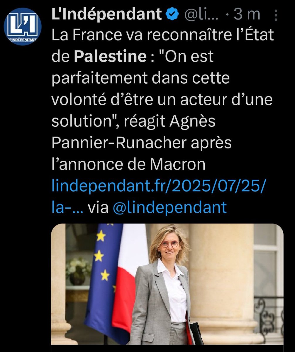Freddy_Roy's tweet image. Reconnaître symboliquement l'État palestinien revient à récompenser le terrorisme du 7 octobre. Trahison envers les Juifs de France, la démocratie israélienne, les civils palestiniens ! #Macron renie ses propres mots. Mélenchon et #RimaHassan exultent. Triste, mais pas surprenant