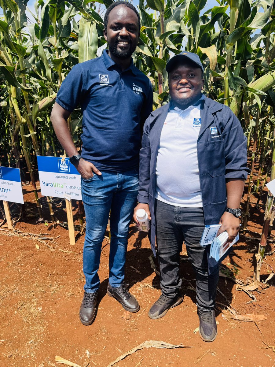 Wambugu ATC is PACKED! Farmers learning from the experts from <a href="/YaraKenya/">YaraKenya</a> ! 

Already checked in ready to learn! 
#MboleaNiYara