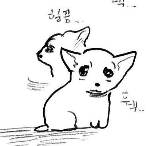 onvlxn's tweet image. 포도요원있을때                          없을때