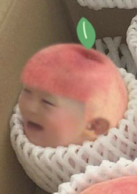 eye_macaron's tweet image. 이런 사진을 주엇는데
정말 귀엽고
만드신분 천재같고.
