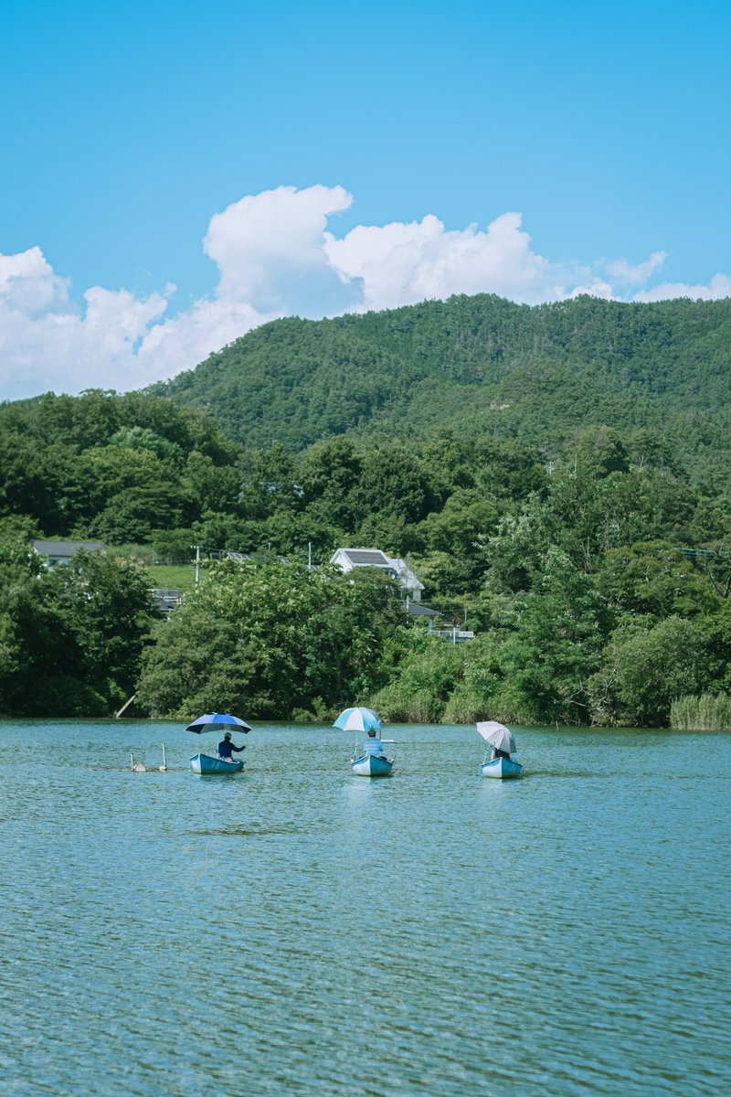eau849's tweet image. 家で仕事に没頭していたら、シャッフルで久石譲のsummerがふいに流れて、
窓から聞こえる蝉の鳴き声と共鳴してた。
空間丸ごと好きな音楽と化していたわ。夏。