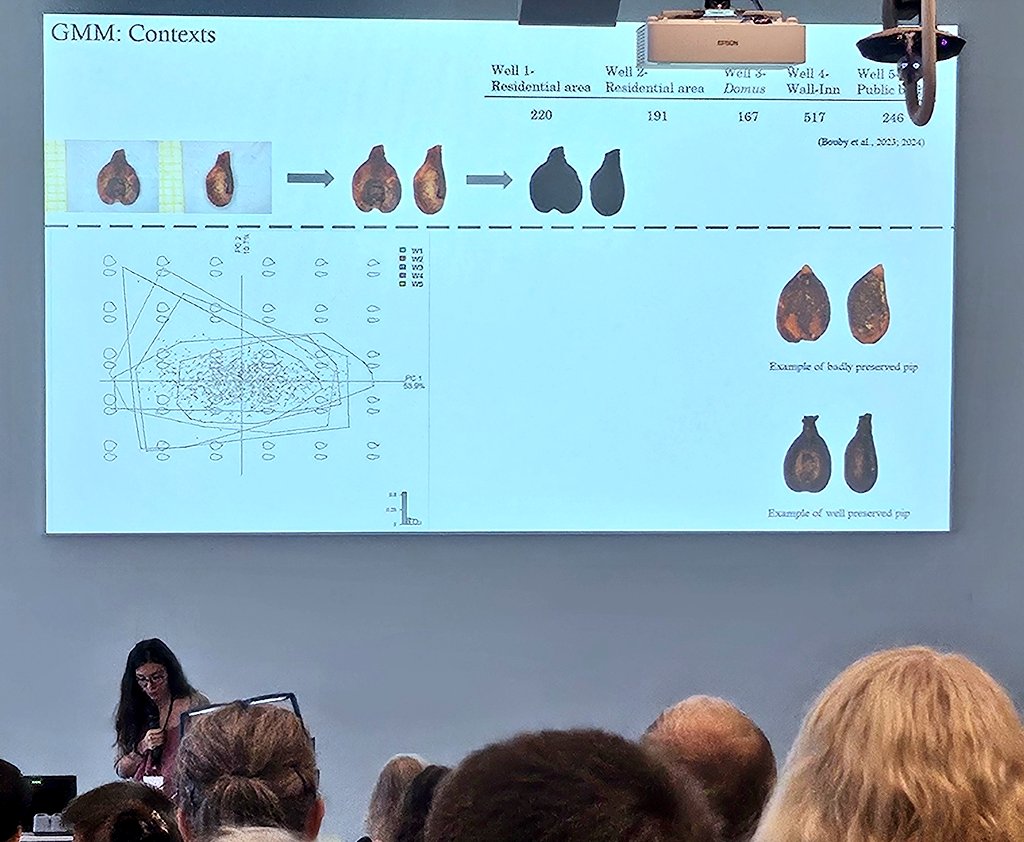 DrJenniferBates's tweet image. A sleepy morning after the #IWGP2025 party! We're back with more #food papers from the Americas and Europe. Starch, phytoliths, seeds and archaeochemicals...and cesspits!
#archaeobotany #archaeologicalscience #archaeology
