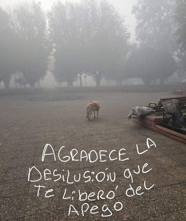 Cultura Literal (@culturaliteral1) on Twitter photo 