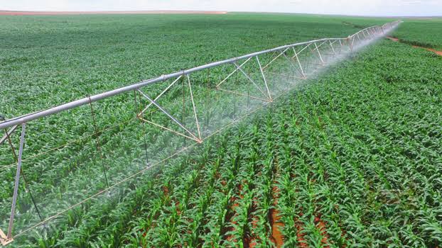 Kimuzi_'s tweet photo. I posted this on 23rd July 2023. Today is the 25th of July 2025. Same things, just a different year.

This is a white elephant project. Where does the produce go after harvest? Why is it hard to scale it up? Why are you annually lying to the people? https://t.co/3elDMHIpcH