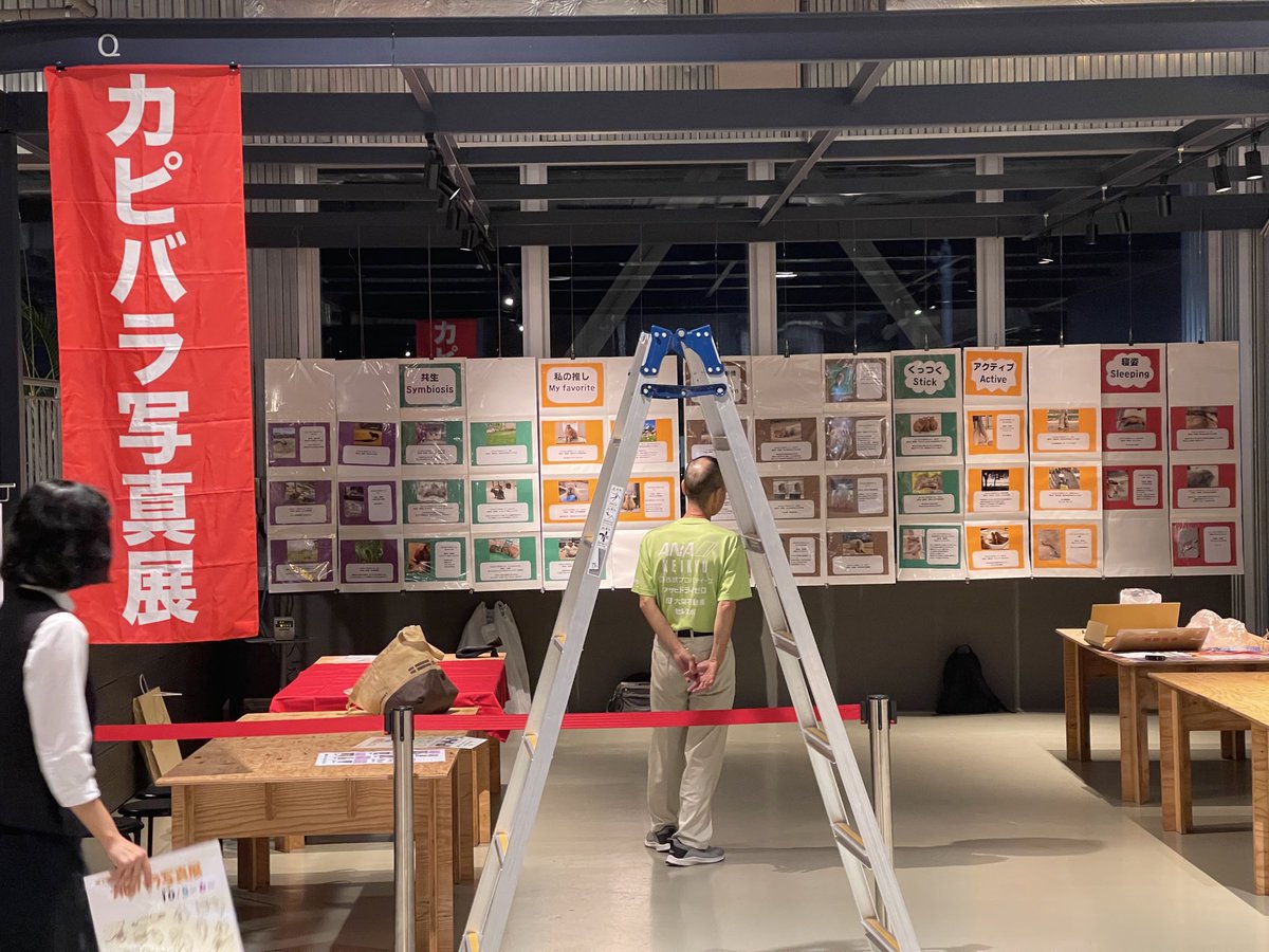 Syundow's tweet image. 第14回カピバラ写真展(2025年10月11日-13日)は「いちご よこすかポートマーケット」をジャックします!!!!
いつものイベントスペースから飛び出して、館内のいたるところでカピバラ写真展を開催します!
カピバラ写真の応募はメールで送るだけ!ぜひごいっしょに楽しみましょう!
#カピバラ