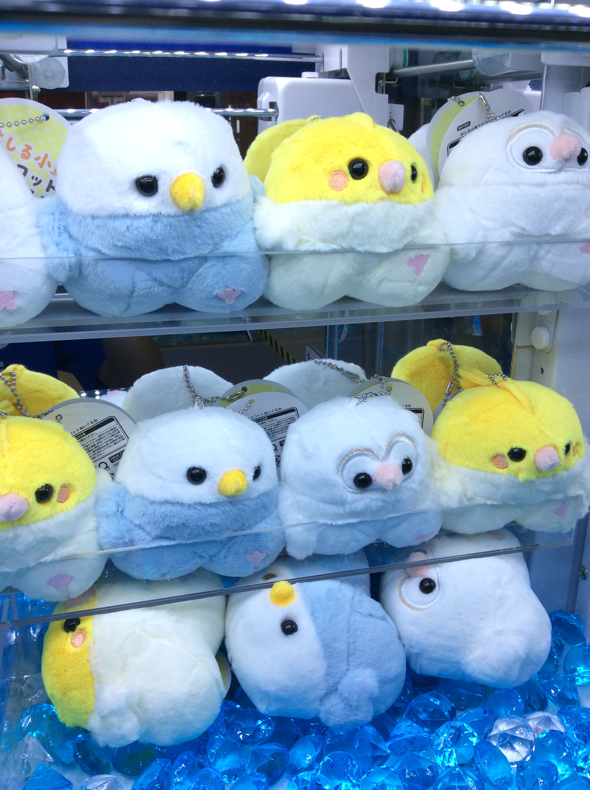 GRe4NBOYZ キュみ鳥　ぬいぐるみ キュミ鳥ちょーだいっ！ – GRe4N BOYZ OFFICIAL SHOP
