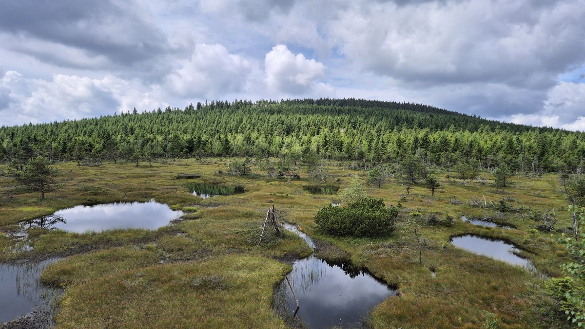 Marie Ch. tweet media