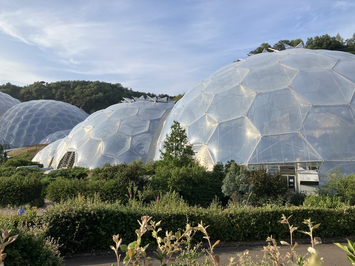 Sheila Vanloo 💙 tweet media