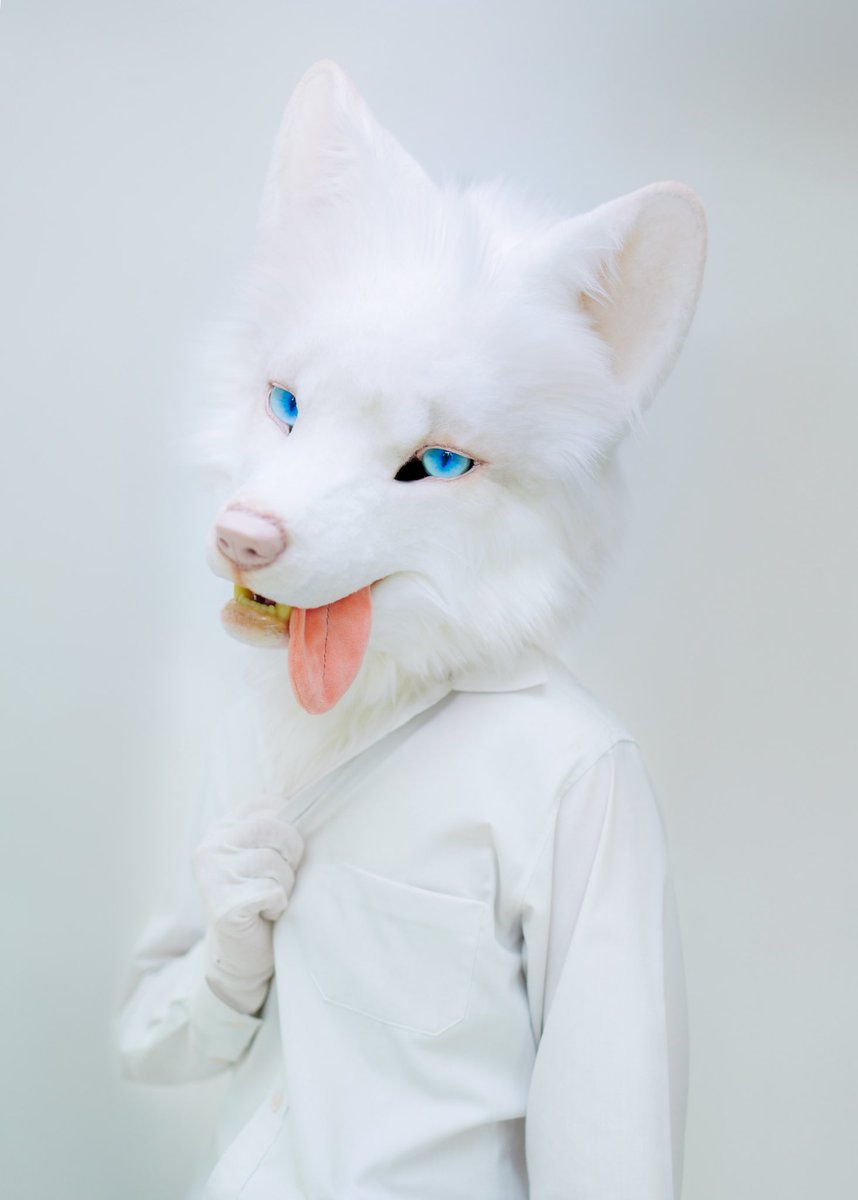 夏、キツネも舌で体温調節する季節☀️
#FursuitFriday 
#まっしろふぃーか