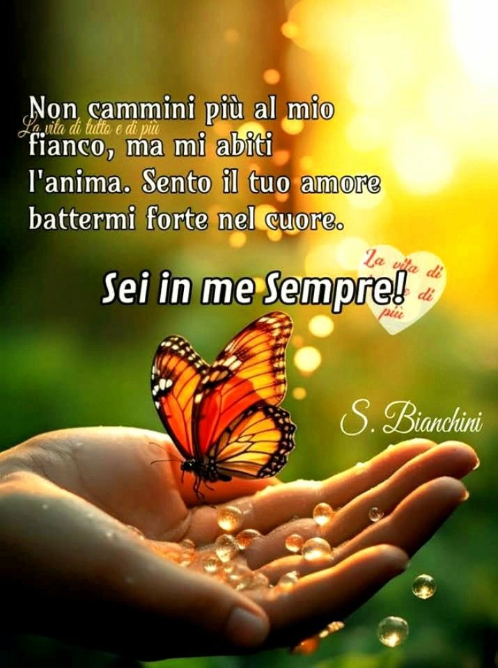 RobertaMalinve1's tweet image. 😥💔🙏🌹❤️