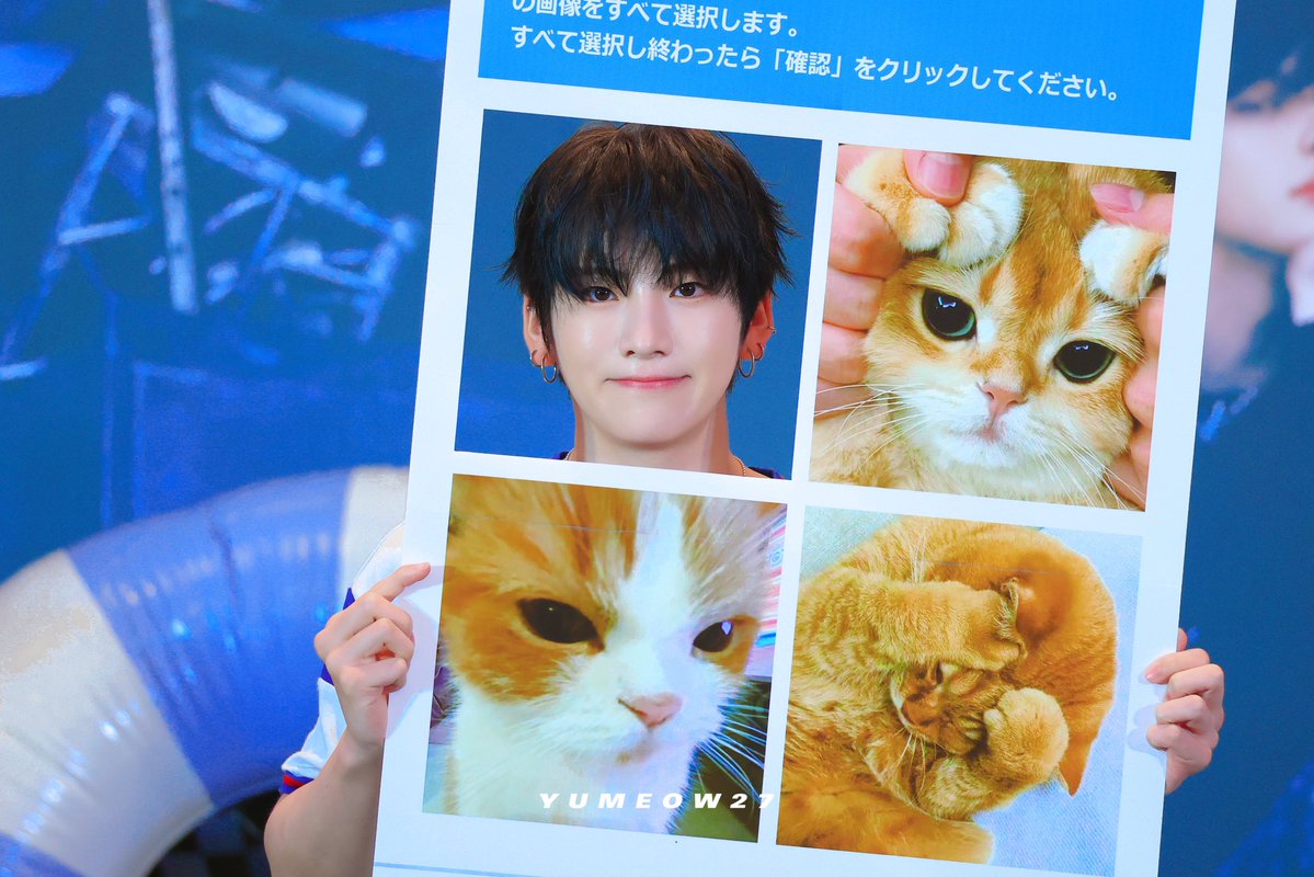 yumeow27's tweet image. 250725 고양이 네 마리🐱
#YUMA #유마 #ユウマ #앤팀 #andTEAM
