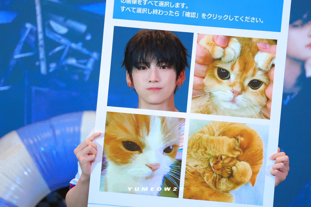 yumeow27's tweet image. 250725 고양이 네 마리🐱
#YUMA #유마 #ユウマ #앤팀 #andTEAM