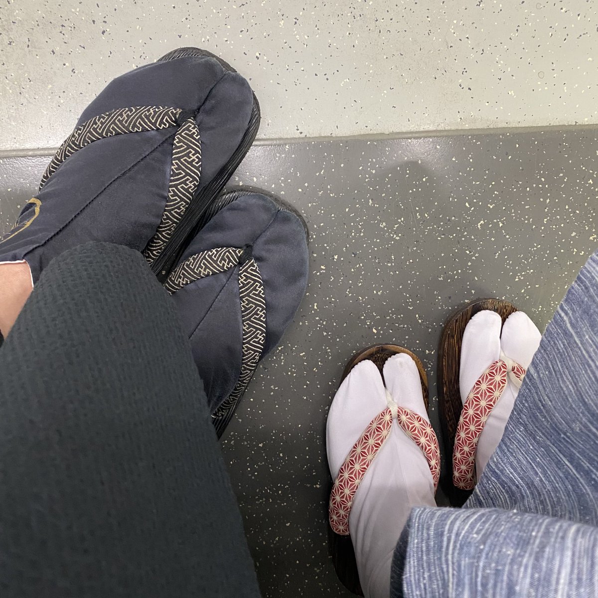BoxDogPuppy's tweet image. けふのあしもと