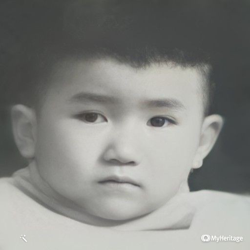 psally007's tweet image. My Heritage helped me retrief a most unreachable family past. That is before the Cultural Revolution, peehaps in 1963-64, when my grandparents were in their prime, and my dad was as old as my son now, a very cute and handsome toddler. Family of 邢汝恩, 玉门 oil in Shanghai.