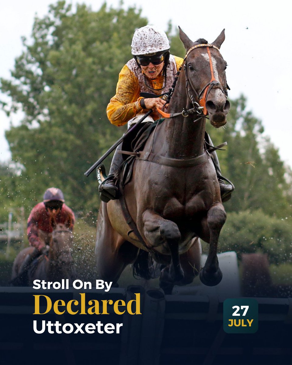 OldGoldRacing's tweet image. Stroll On By has been declared to race in the 14:37 steelbeamsderby.co.uk Handicap Hurdle at @UttoxeterRaces on Sunday 27th July!
Champion jockey @Sean_Bowen_ will be on board as 'Rolo' looks to make it two hurdle victories on the bounce! 💪
