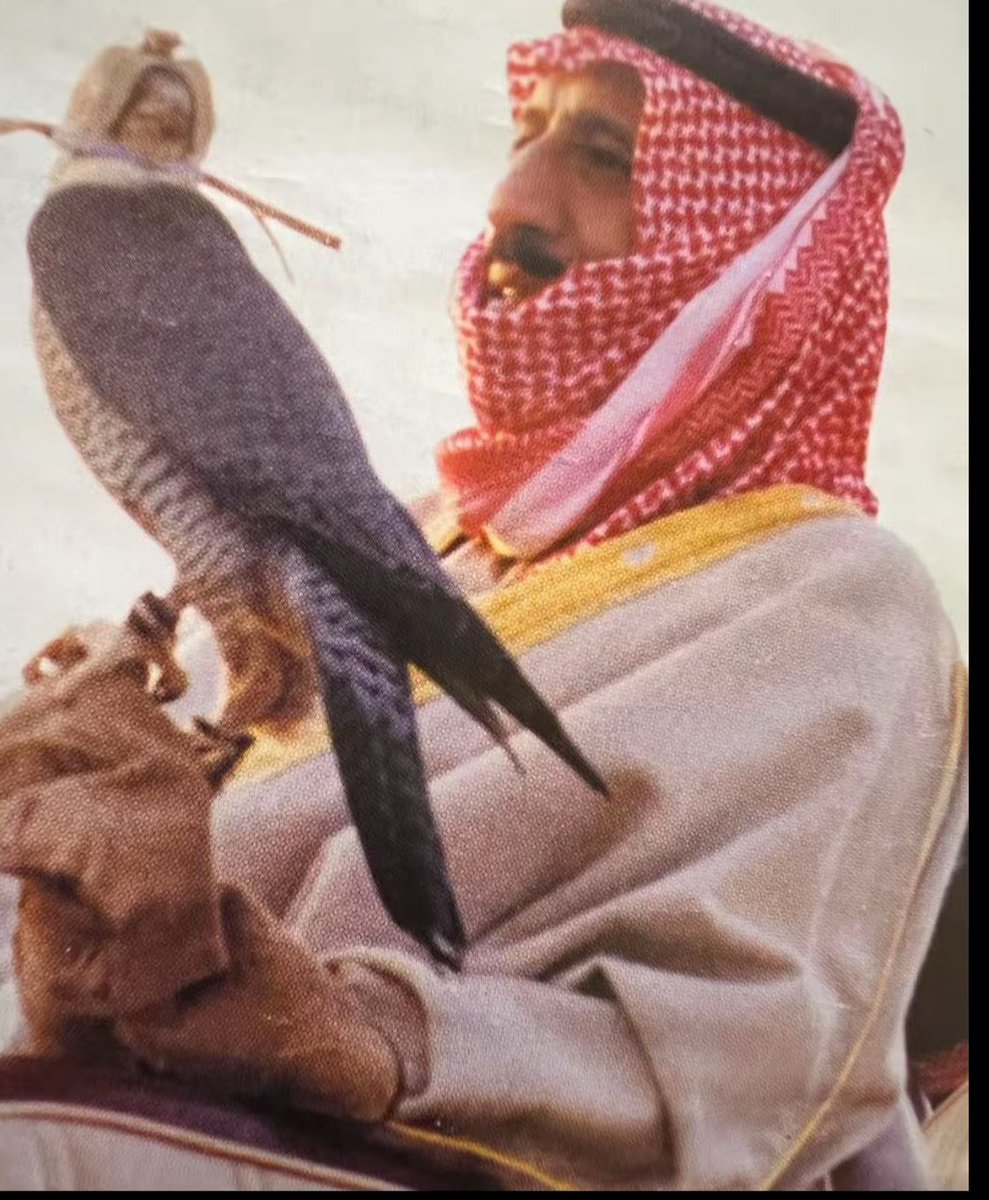 h_alrooge's tweet photo. يظل الصقر رمزاً من رموز الفخر والشجاعة  والكرامة ، فالصقر من اغلى وأفخم هدايا الملوك في الماضي والحاضر  .
( حيث ترتبط الصقور بالموروث الإنساني للمملكة العربية السعودية، الذي يشكِّل جزءاً من تاريخها ورحلة تأسيس البلاد قبل ثلاثة قرون، إذ يعد الصقر عنصراً مهماً من عناصر الثقافة السعودية، ويحتل مكانة في حياة أبناء الجزيرة العربية.)

.
.

قال الشاعر ؛

دار ياللي سعدها تو ماجاها 🇸🇦
                            طير حوران شاقتني مضاريبه 
صيدته يوم صف الريش ما اخطاها 
                             يوم شرّف على عالي مراقيبه

.
.
.

الوعد ملهم  من  تاريخ : ￼ 05 أغسطس 2025
وحتى  ￼ 25 أغسطس 2025

#الرياض_ملهم
#المزاد_الدولي_لمزارع_إنتاج_الصقور_2025