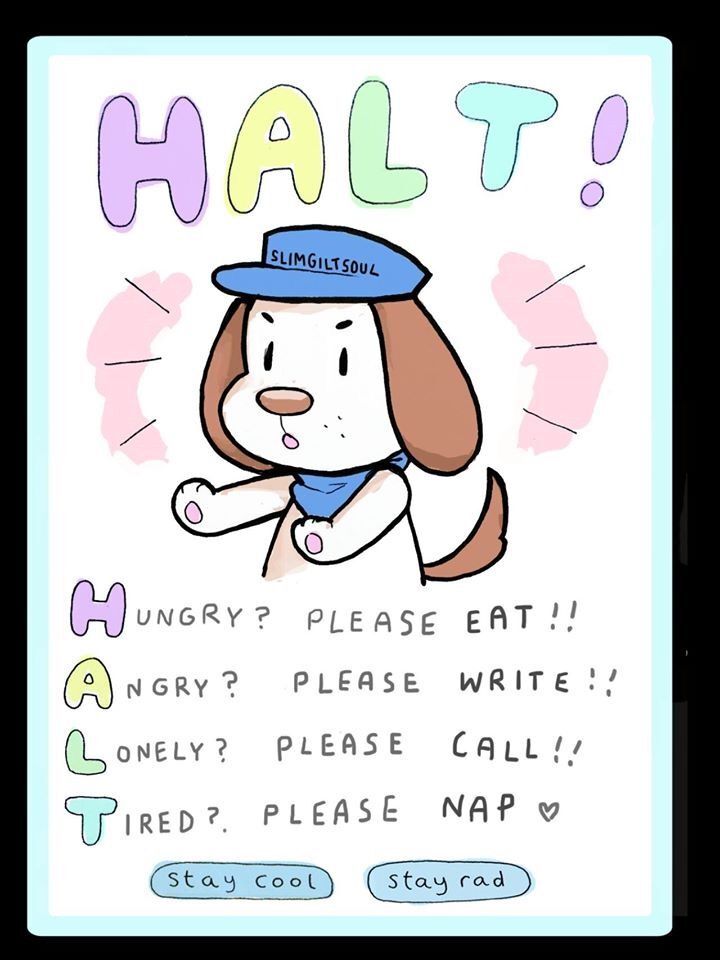 WholesomeMemes (@wholesomememe) on Twitter photo 