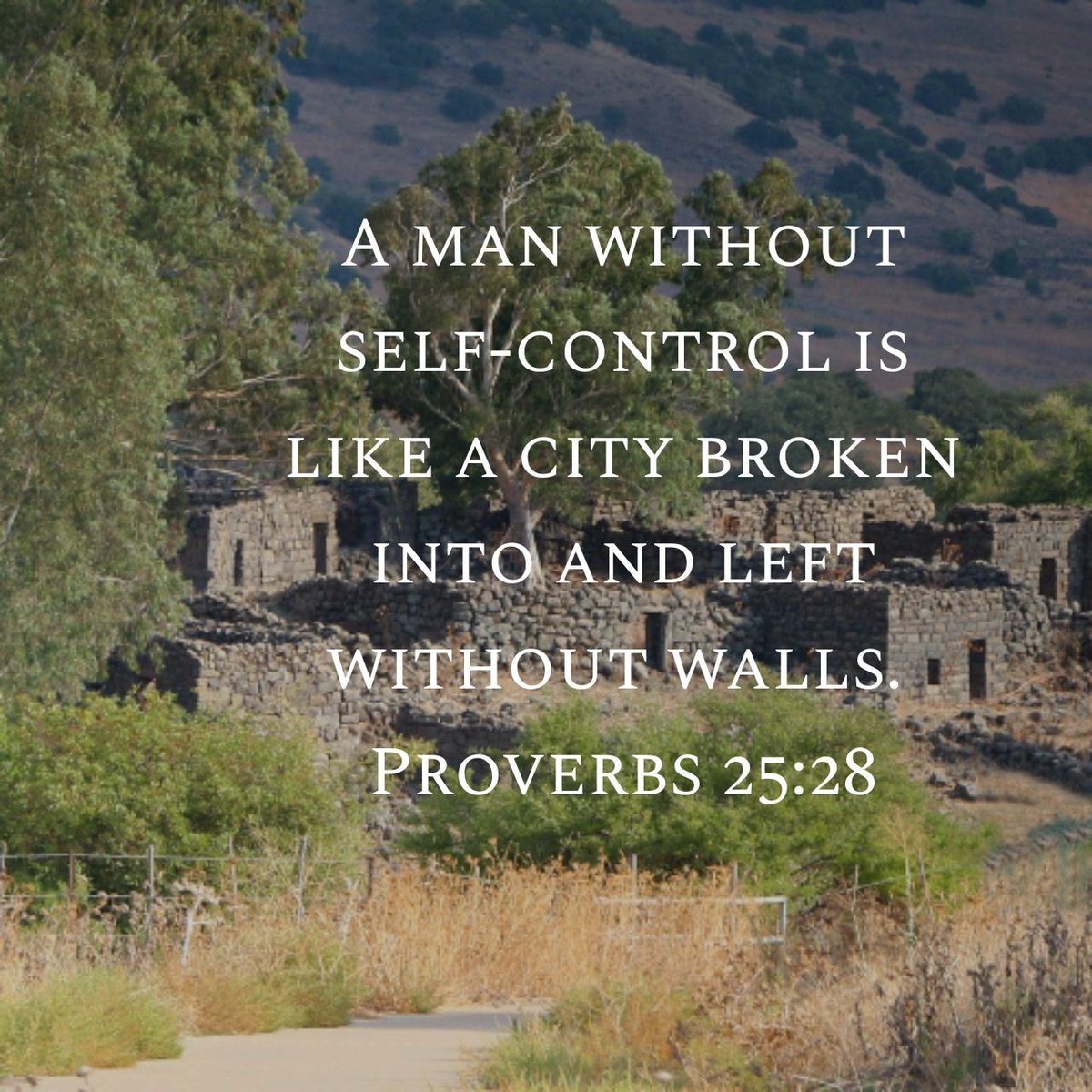 WmHillJr's tweet image. Daily Proverb (7.25.2025) 📖 
#dailyproverb #proverbs #wisdom #bible